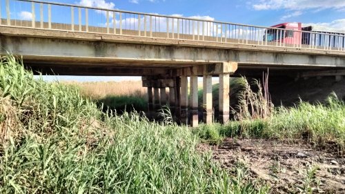 Эколог рассказал о варварском уничтожении реки в Одесской области