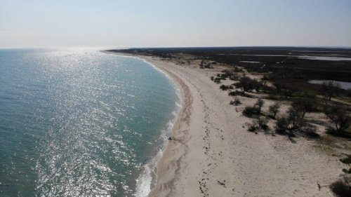 На окупованому острові Джарилгач вщент вигоріли унікальні рослини та тварини