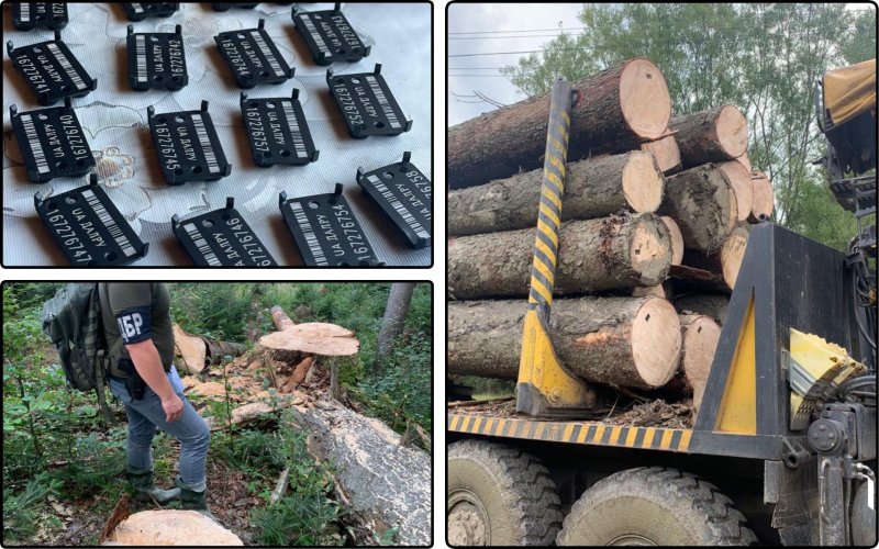 На Буковині викрили злочинну схему лісівників на 2 мільйони гривень
