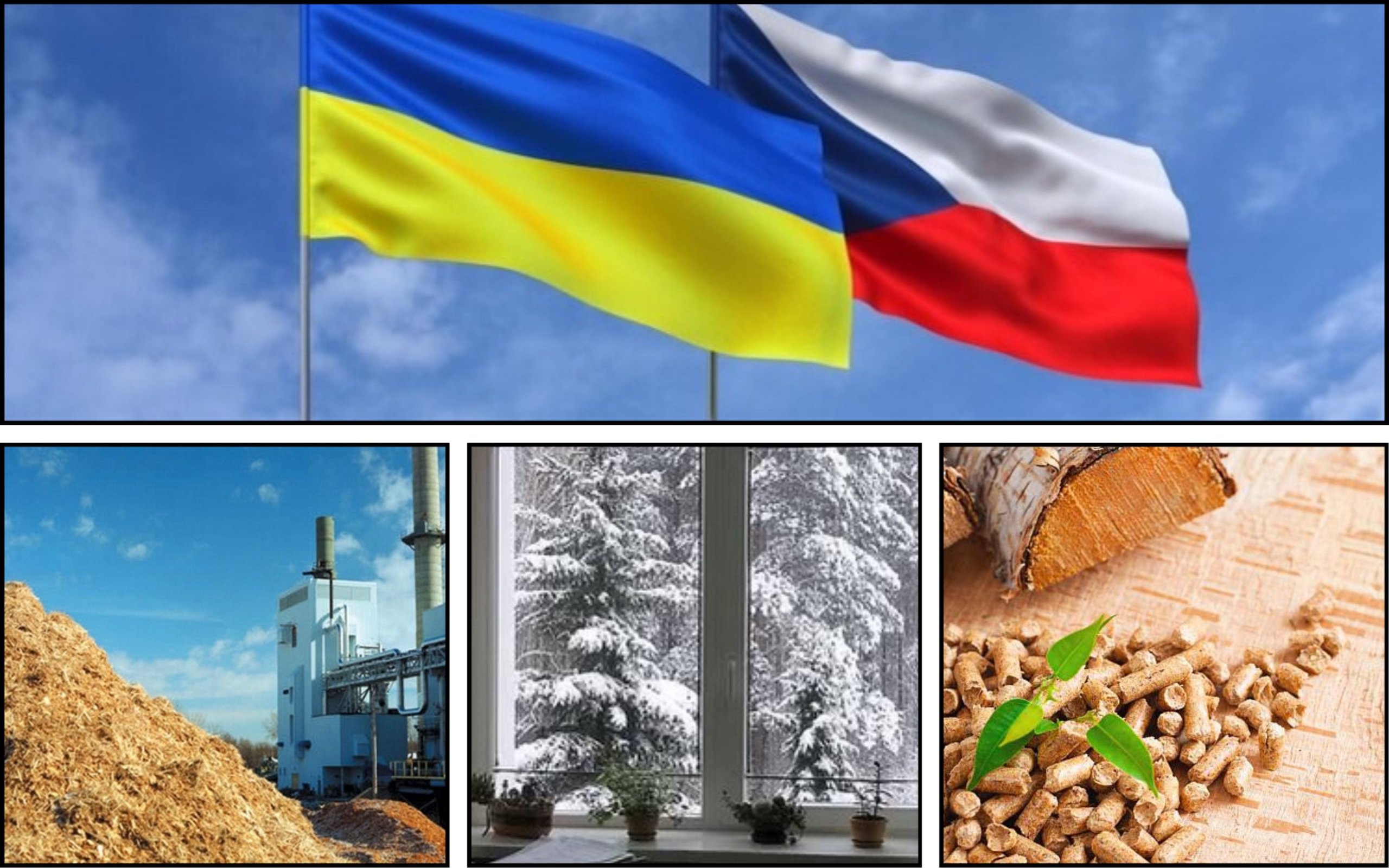 Фото – Чехия планирует инвестировать €12 миллионов в украинские котельные на биомассе