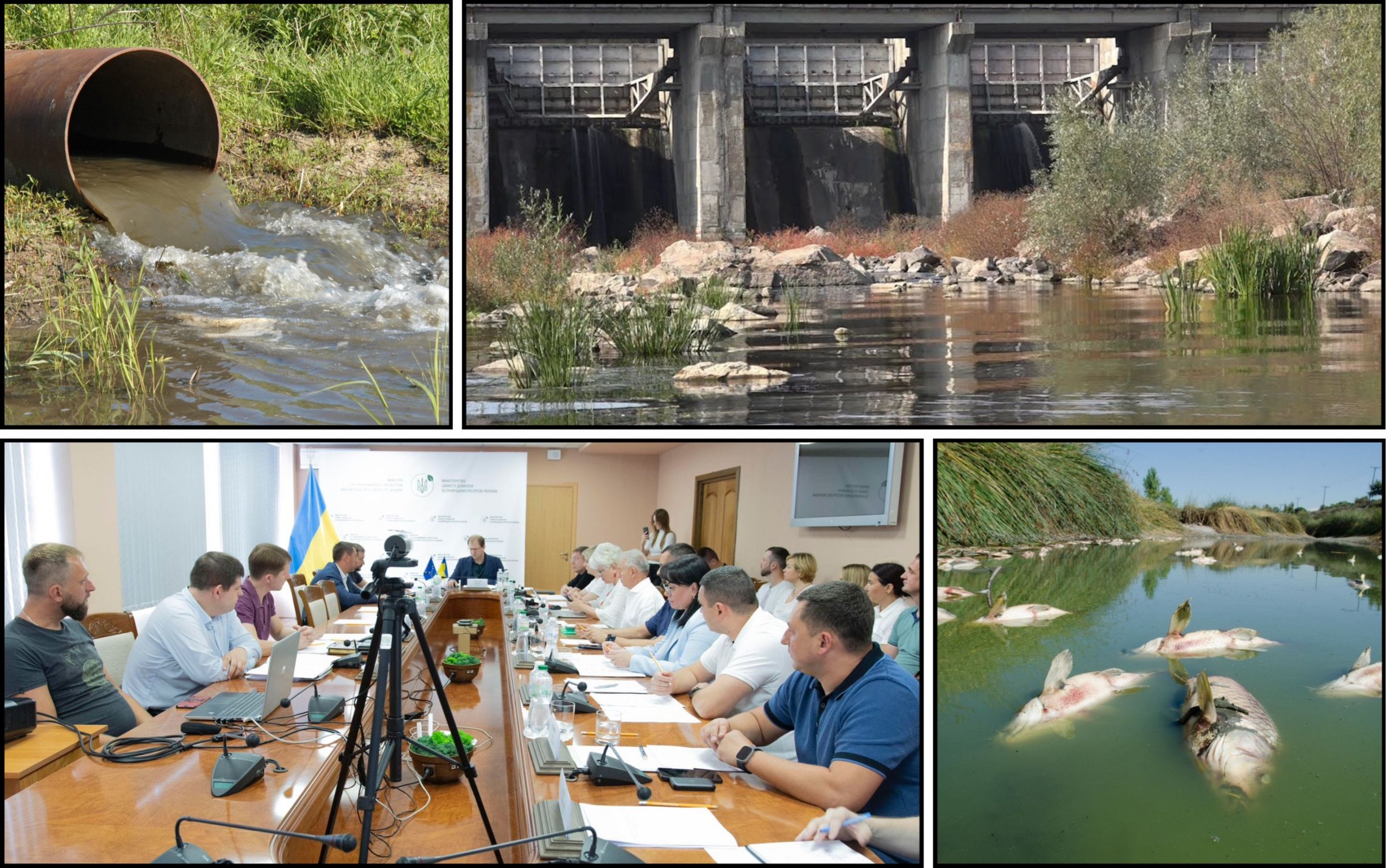 Фото – Чиновники низки ековідомств хочуть врятувати річку Рось від знищення