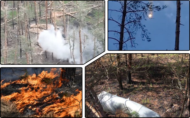 Оккупанты намеренно сжигают леса в Украине