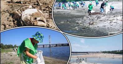 Photo – Activists removed 15 tons of garbage from the washed-up shores of Khortytsia