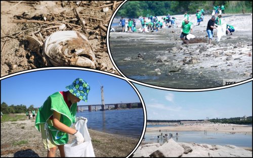 Activists removed 15 tons of garbage from the washed-up shores of Khortytsia