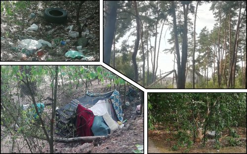 В Киеве лес превратили в свалку с шалашами бездомных. Фото