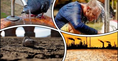 Фото – Июль назвали самым теплым месяцем за последние 120 тысяч лет