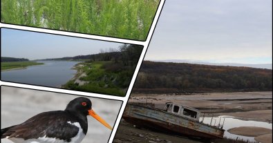 Фото – Водосховище на Харківщині після підриву повністю відновилось: його порівняли з Каховським