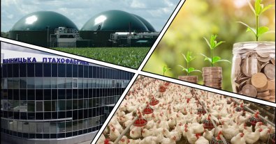 Photo – The Vinnytsia poultry farm can receive $30 million for the production of liquefied biomethane