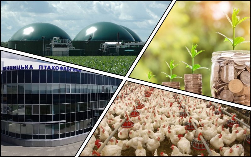 The Vinnytsia poultry farm can receive $30 million for the production of liquefied biomethane
