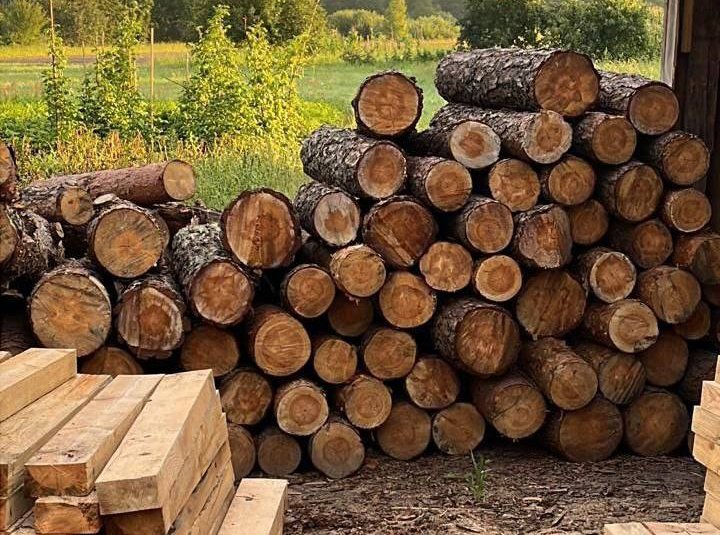 Фото – В Волынской области мужчина незаконно вырубал лес