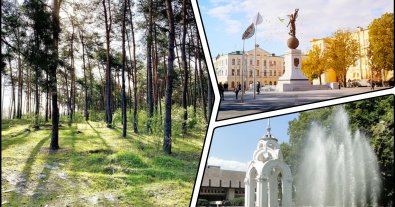 Фото – У Харкові не дозволили вирубати ліс задля видобутку піску