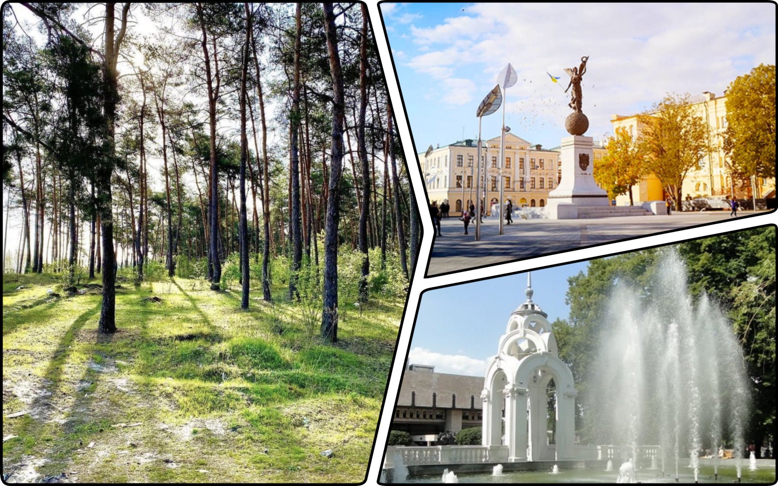 Фото – В Харькове не разрешили вырубить лес для добычи песка