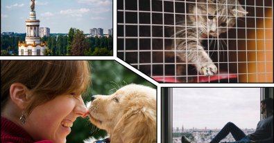 Photo – Kyiv residents will be able to find four-legged friends at the animal protection campaign at VDNG