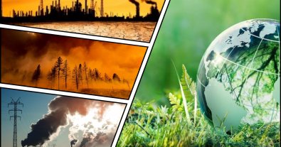 Фото – Развитые страны должны ускорить свой зеленый переход – МЭА