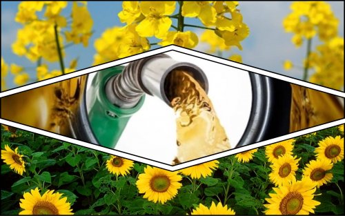 Rivne region plans to produce motor fuel from vegetable oils