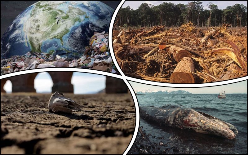 Планета стала опасной для выживания человечества – ученые