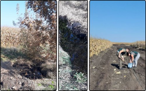 Oil spilled in a corn field in Sumy region