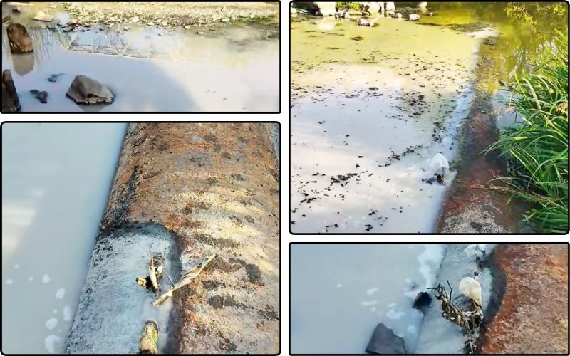 Sewage flows into the river from an emergency pipe in Zhytomyr. Video