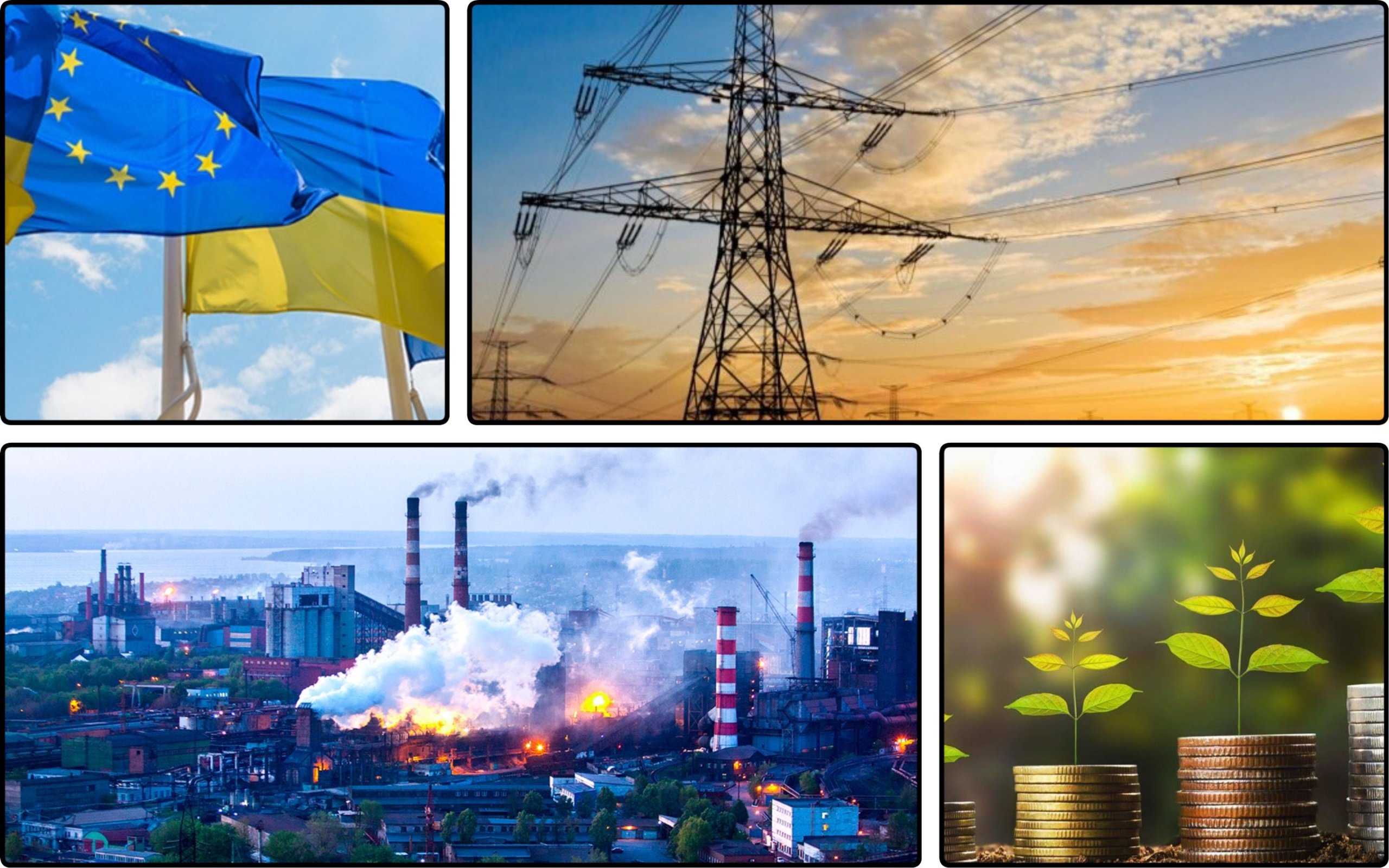 Фото – "Зараз колір інвестицій – зелений": чому Україні потрібна СТВ та якою вона має бути?