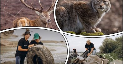 Photo – Ecoactivists will simultaneously clean 5 nature reserves in September: how to get involved