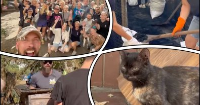Photo – The people of Kyiv began to restore the burnt shelter for cats