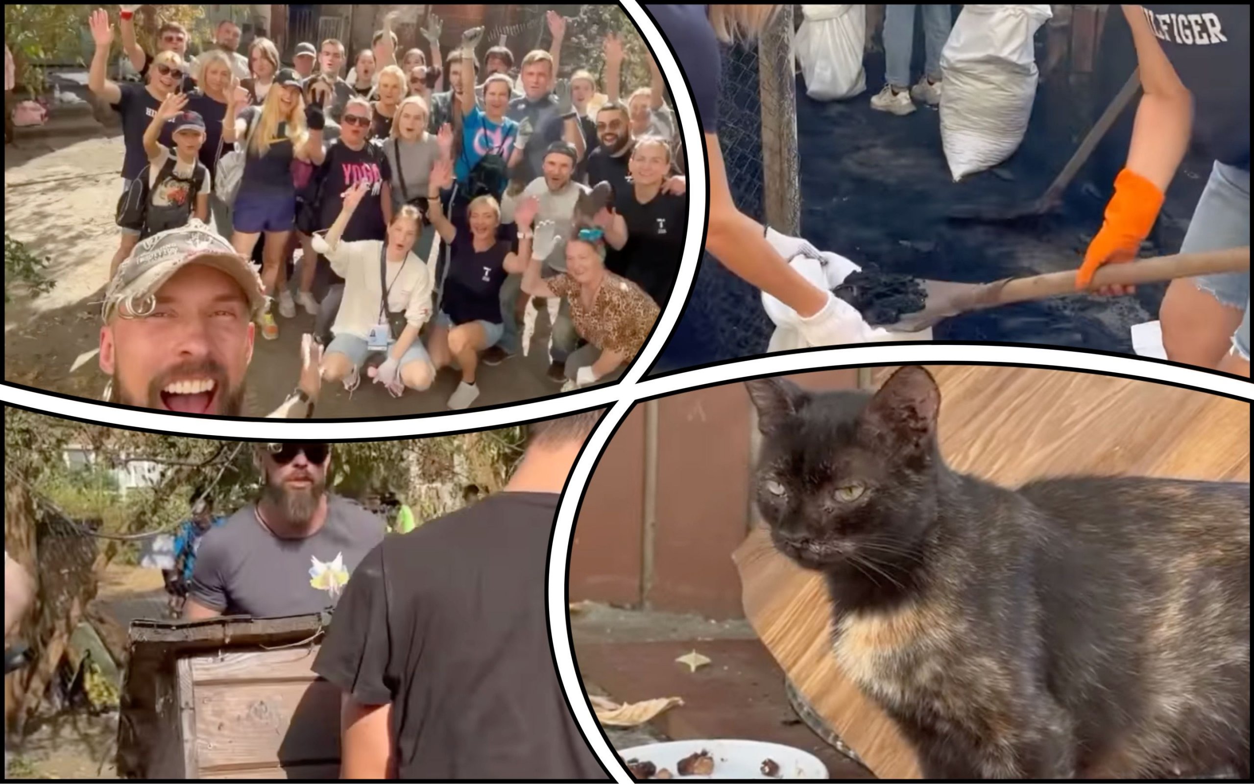 Photo – The people of Kyiv began to restore the burnt shelter for cats