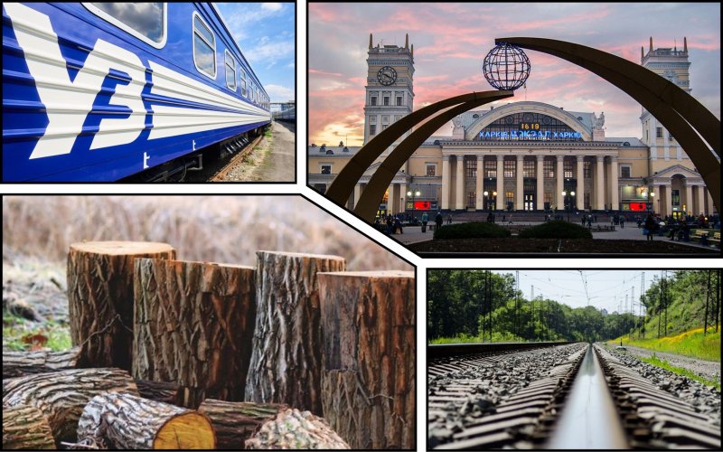 На Харківщині залізничники організували масову вирубку дерев на 1 мільйон гривень
