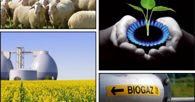 Фото – Экспорт украинского биометана ускорит развитие отрасли – замминистра агрополитики