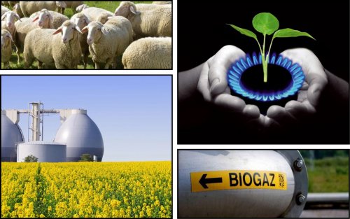 The export of Ukrainian biomethane will accelerate the development of the industry