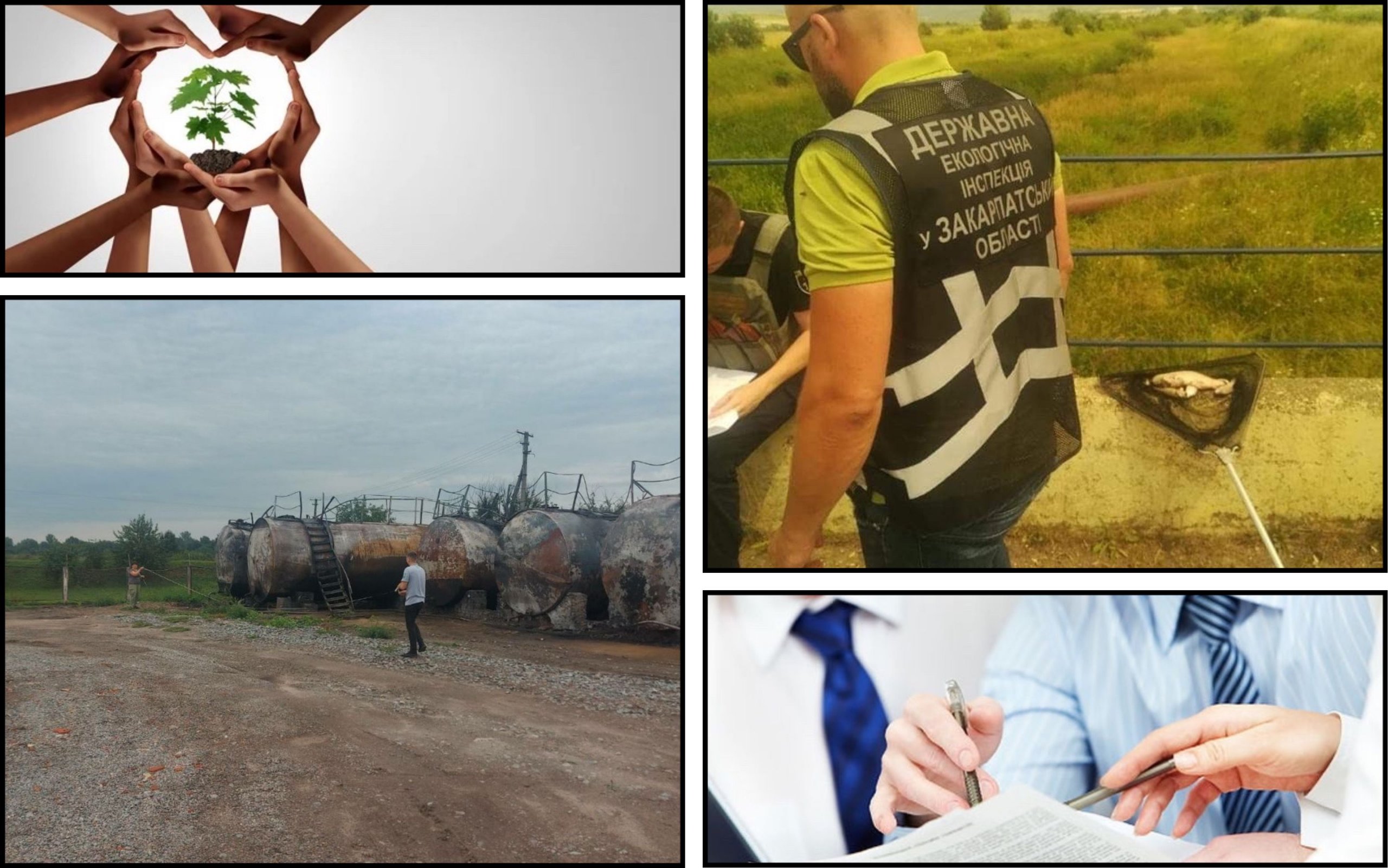 Фото – В Держекоінспекції розкритикували формальну ліквідацію відомства