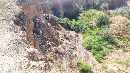 A cattle cemetery was built in a quarry in Odesa