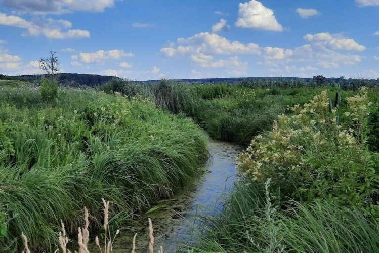 2.5 thousand hectares of river valleys were taken under protection in the Kyiv region
