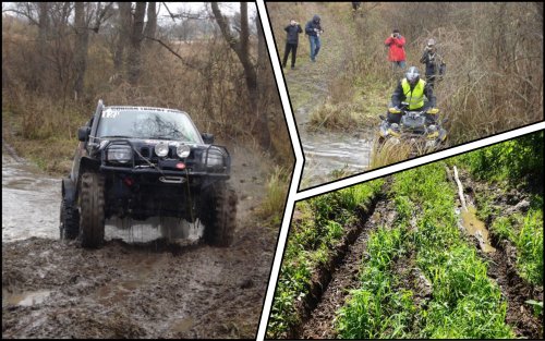 Nature reserves were turned into race tracks in the Kyiv region