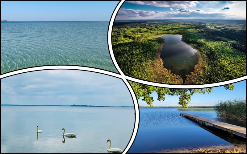 The water quality in the protected Shatsky lakes was checked in Volyn