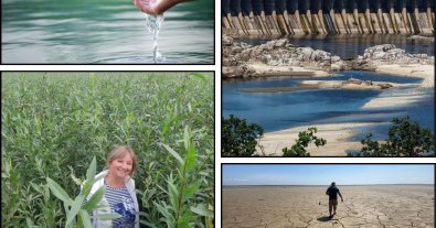 Фото – Водохранилище или новый лес: какое будущее ждет Каховское море