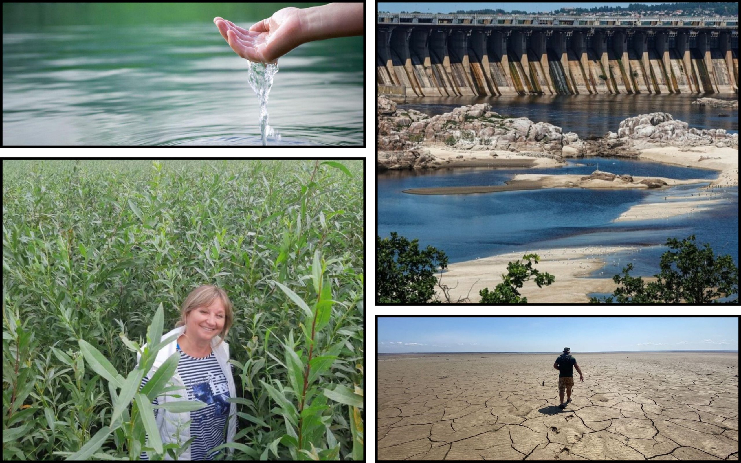 Фото – Водохранилище или новый лес: какое будущее ждет Каховское море