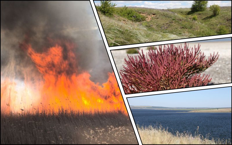 На Николаевщине сожгли 2 гектара заповедного Тилигульского парка