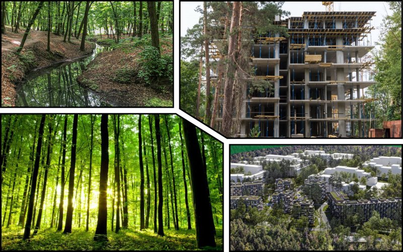 Kyiv to build a new residential complex in a protected forest: the townspeople opposed it