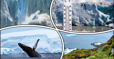 Фото – Значительная часть Антарктиды неизбежно растает – исследование
