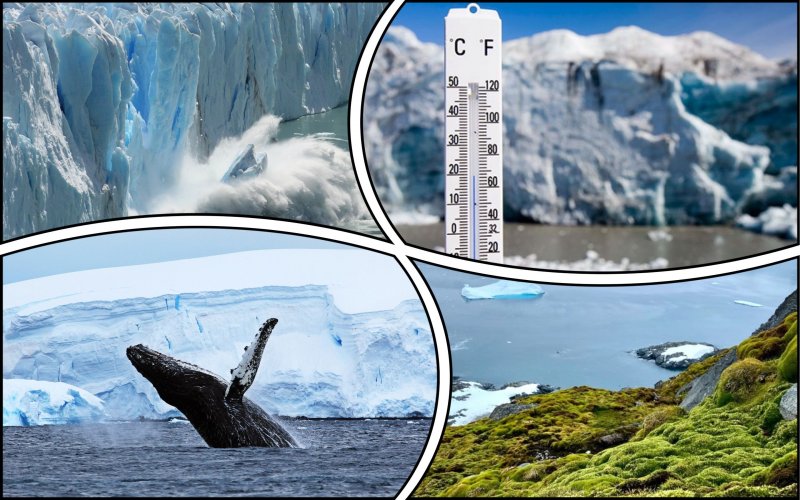 Much of Antarctica will inevitably melt – study