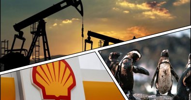 Фото – Нефтяной гигант Shell сокращает зеленые проекты ради увеличения прибыли