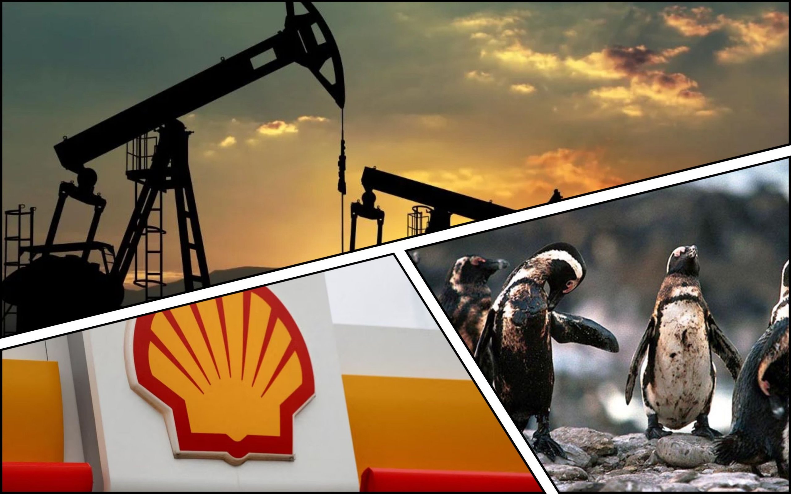 Photo – Oil giant Shell cuts green projects to boost profits