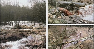 Фото – На Волыни будут судить директора мясокомбината за слив отходов в лесополосу