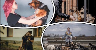Photo – Heroes among us: a well-known animal rights activist saves sick animals from all over Ukraine