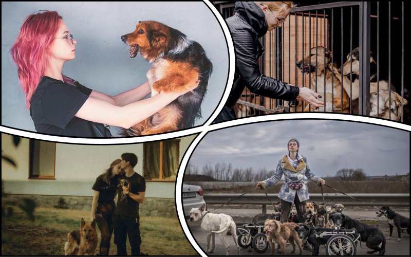 Heroes among us: a well-known animal rights activist saves sick animals from all over Ukraine