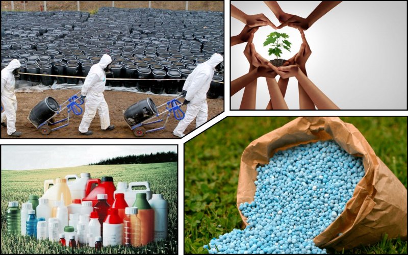 На Одещині оголосили тендер на утилізацію 175 тонн пестицидів