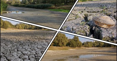 Фото – В Киеве высохло уникальное озеро, которое чиновники обещали спасти