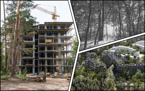 Від Київради вимагають зупинити будівництво ЖК на 18 гектарах заповідного лісу