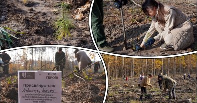Photo – A forest was planted in memory of the heroes in the Zhytomyr region