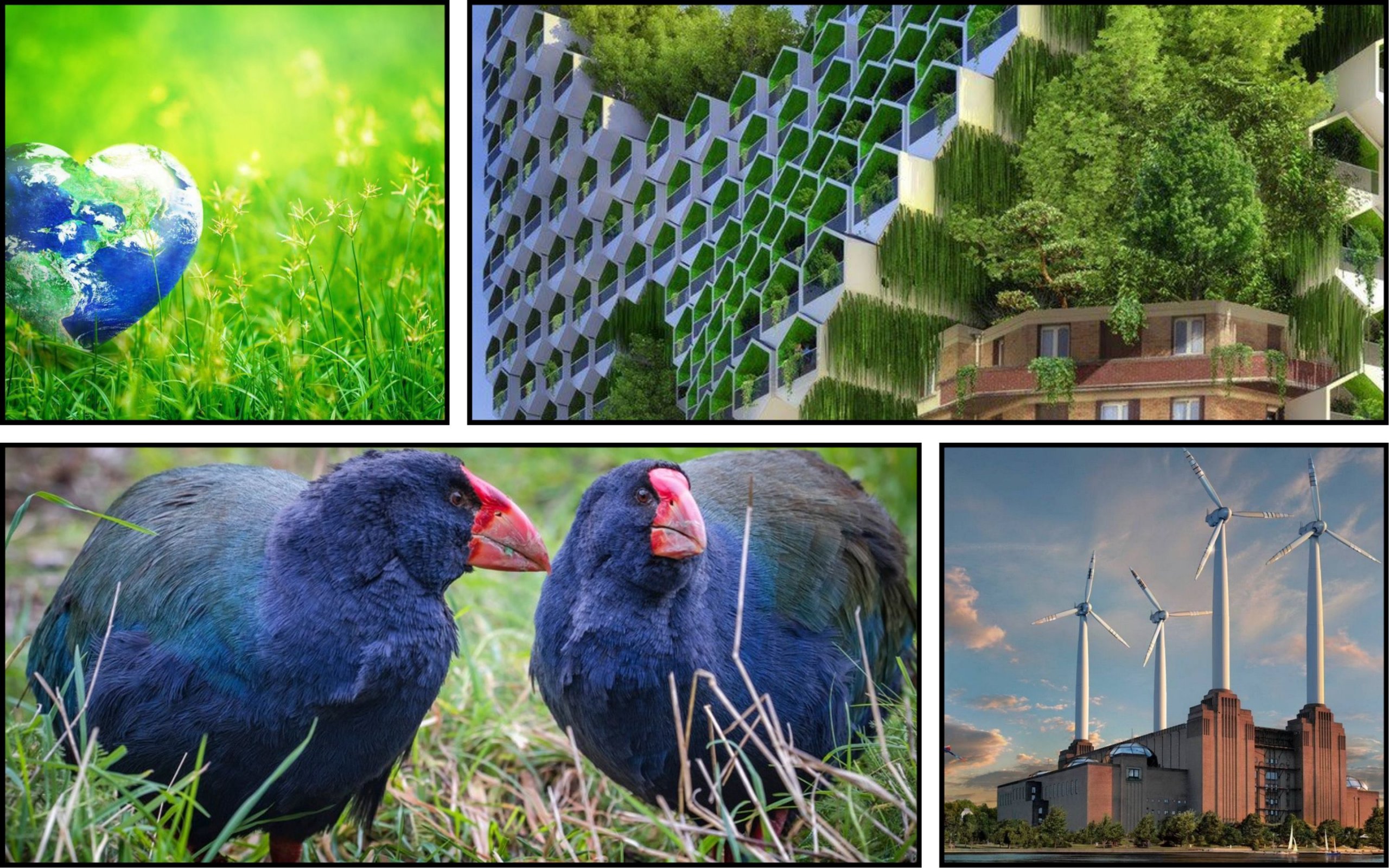 Photo – TOP-15 most ecological countries of the world